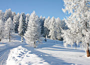 Winter in Waldkirchen Bayerischer Wald